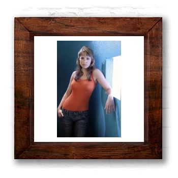 Erica Durance 6x6