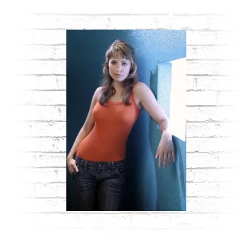 Erica Durance Poster