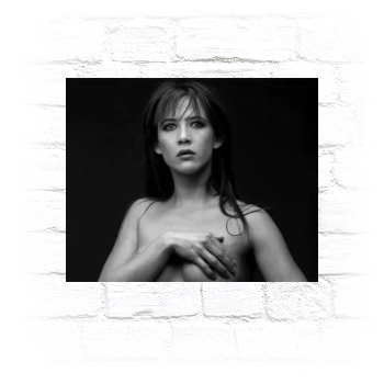 Sophie Marceau Metal Wall Art