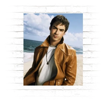 Ian Somerhalder Poster