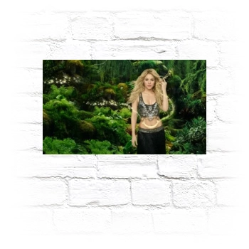 Shakira Metal Wall Art