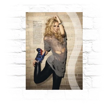 Shakira Metal Wall Art