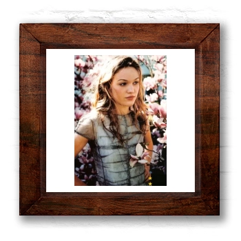 Julia Stiles 6x6