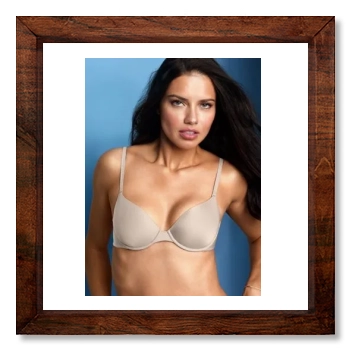 Adriana Lima 12x12