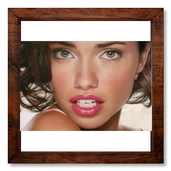 Adriana Lima 12x12