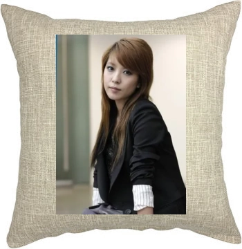 BoA Pillow