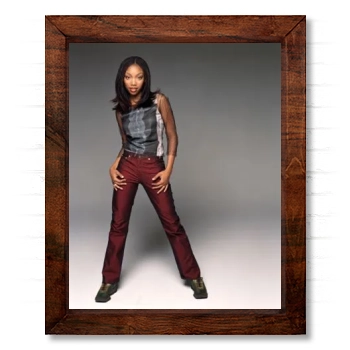 Brandy Norwood 14x17