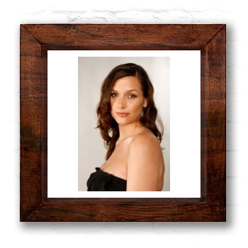 Bridget Moynahan 6x6