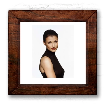 Bridget Moynahan 6x6