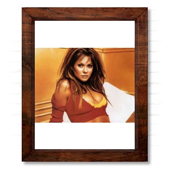 Brooke Burke 14x17