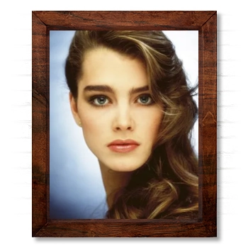 Brooke Shields 14x17