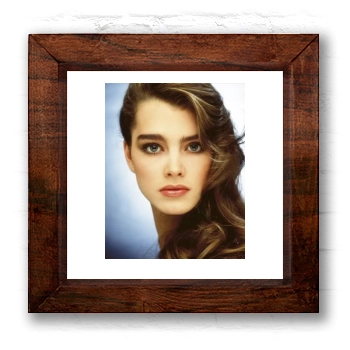 Brooke Shields 6x6