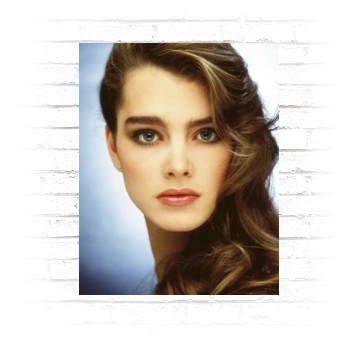 Brooke Shields Poster