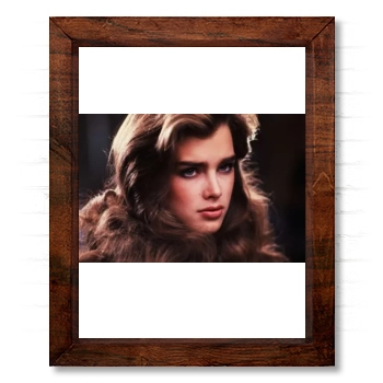 Brooke Shields 14x17