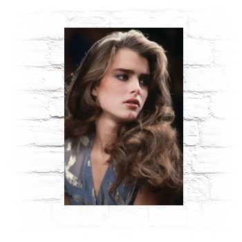 Brooke Shields Metal Wall Art