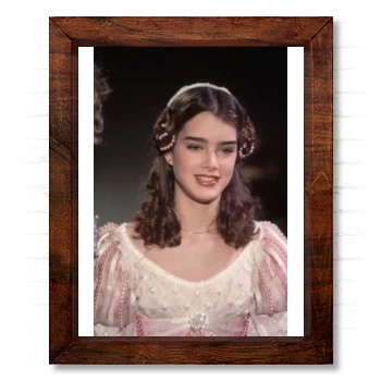 Brooke Shields 14x17