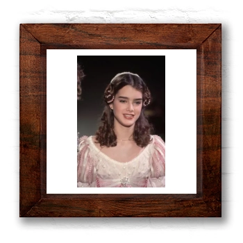 Brooke Shields 6x6