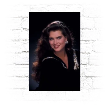 Brooke Shields Metal Wall Art