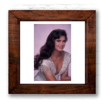 Brooke Shields 6x6