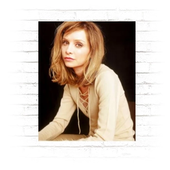 Calista Flockhart Poster