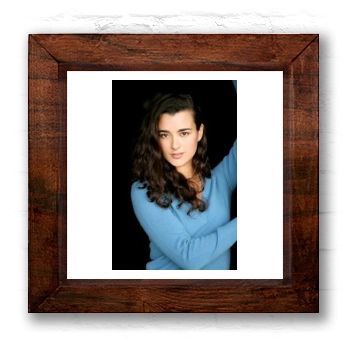 Cote De Pablo 6x6