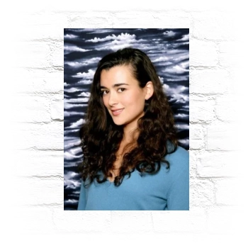 Cote De Pablo Metal Wall Art