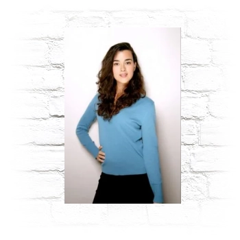 Cote De Pablo Metal Wall Art