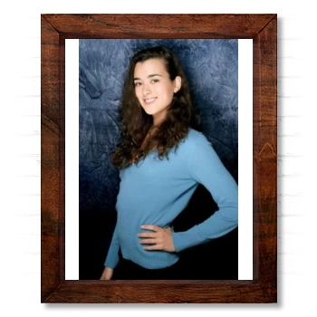 Cote De Pablo 14x17