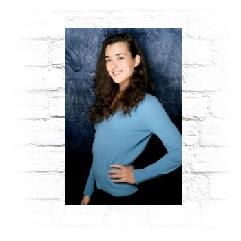 Cote De Pablo Metal Wall Art