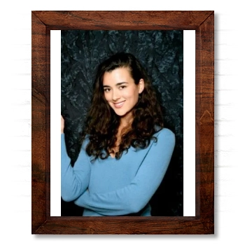 Cote De Pablo 14x17