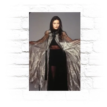 Catherine Zeta-Jones Metal Wall Art