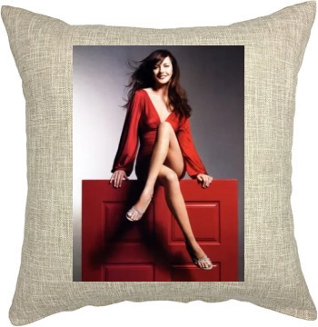 Catherine Zeta-Jones Pillow