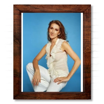 Celine Dion 14x17