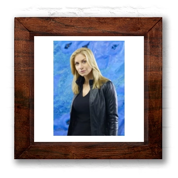 Elizabeth Mitchell 6x6