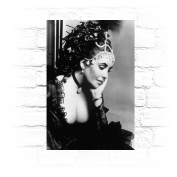 Elizabeth Taylor Metal Wall Art