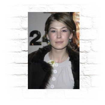 Rosamund Pike Metal Wall Art