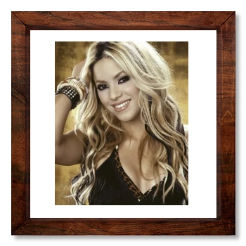 Shakira 12x12