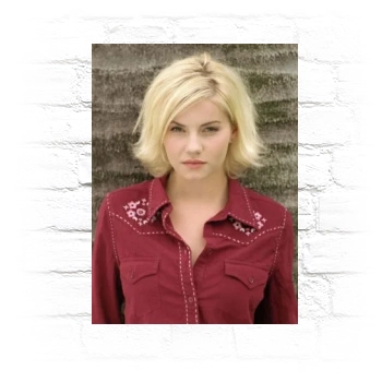 Elisha Cuthbert Metal Wall Art