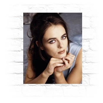 Elizabeth Hurley Metal Wall Art