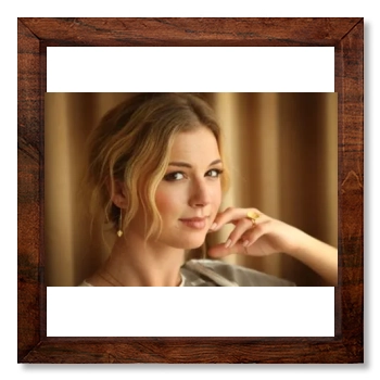 Emily VanCamp 12x12