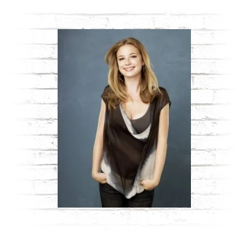 Emily VanCamp Poster