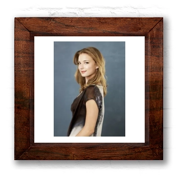 Emily VanCamp 6x6