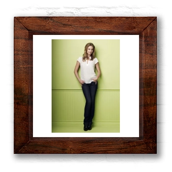 Emily VanCamp 6x6