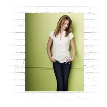 Emily VanCamp Poster