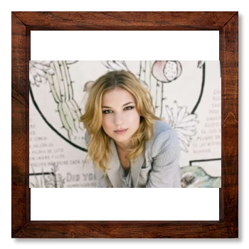 Emily VanCamp 12x12