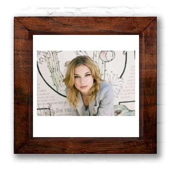 Emily VanCamp 6x6