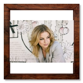 Emily VanCamp 12x12