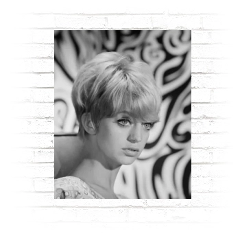 Goldie Hawn Poster