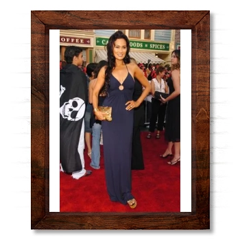 Tia Carrere 14x17