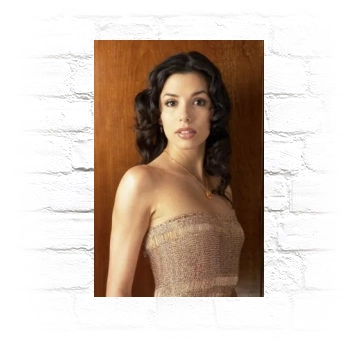 Eva Longoria Metal Wall Art